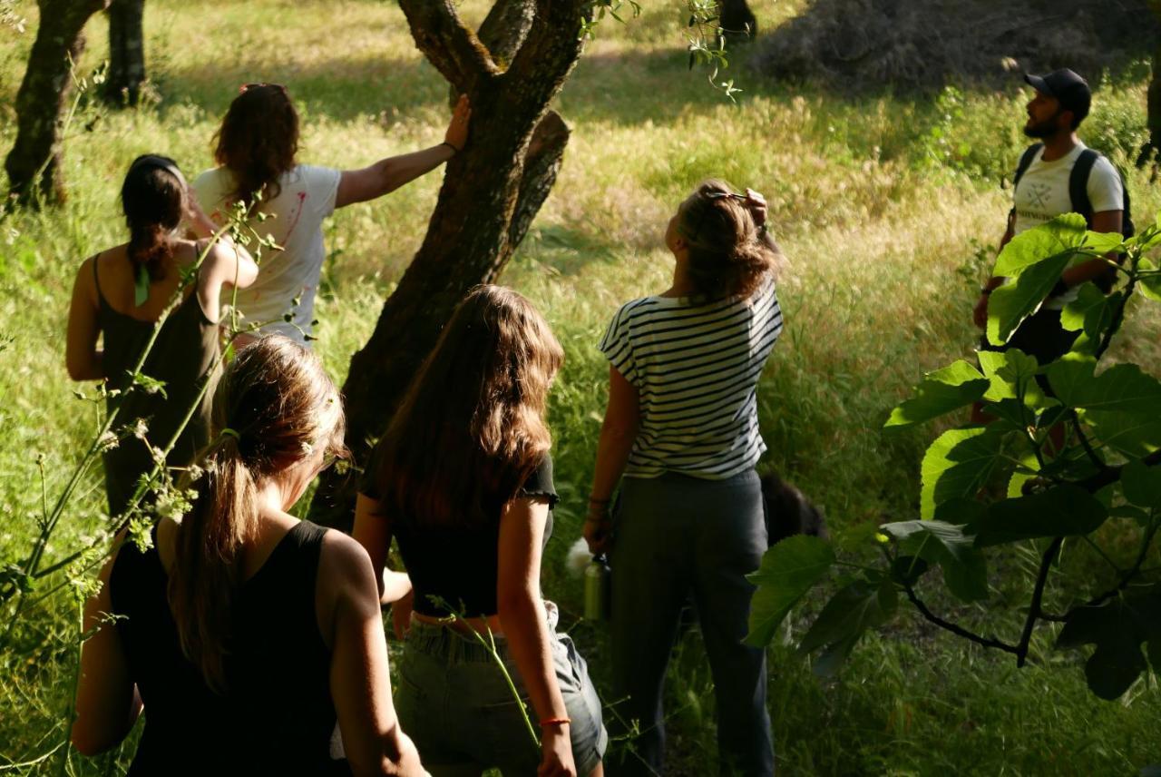 Quinta De Sao Pedro De Vir-a-corca Em Bed & Breakfast Monsanto