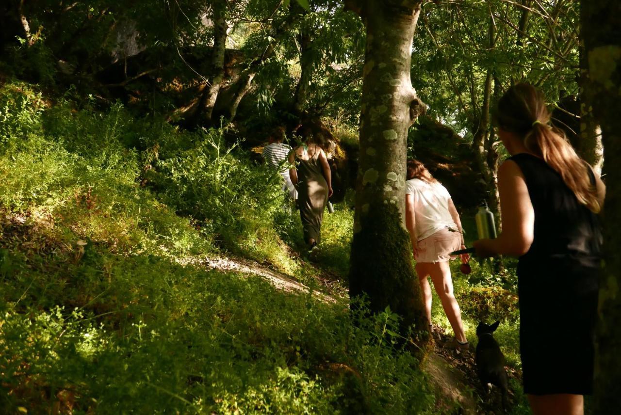 Quinta De Sao Pedro De Vir-a-corca Em * Monsanto