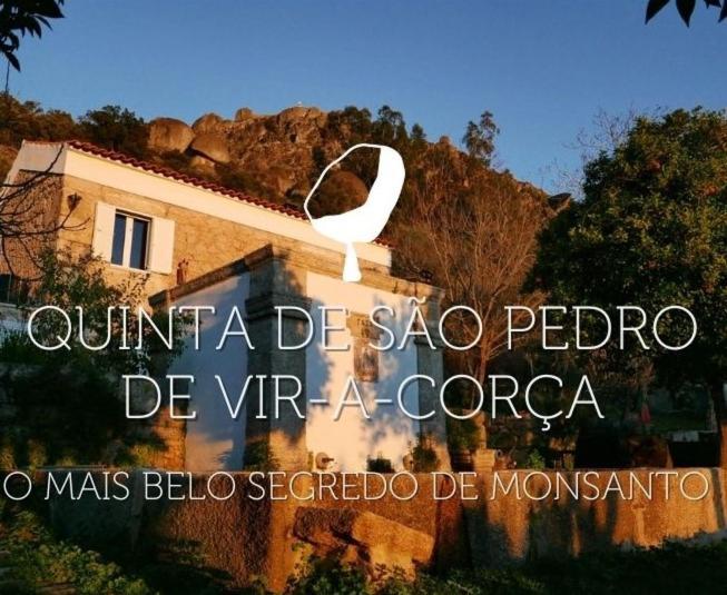 Quinta De Sao Pedro De Vir-a-corca Em